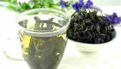 杜仲茶有强免疫美容抗衰老作用