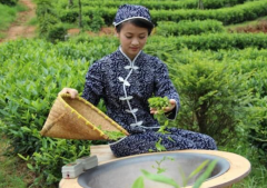 在全球价值链中，我国茶产业位于什么地位？有