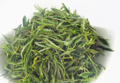 黄山野茶是什么种类属于什么茶