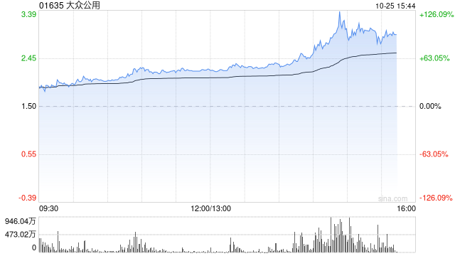 创投概念受资金追捧 大众公用午后放量暴涨114%  第1张