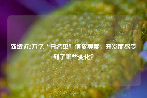 新增近2万亿“白名单”信贷额度，开发商感受到了哪些变化？  第1张