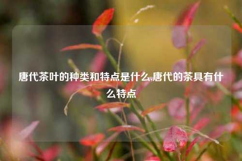 唐代茶叶的种类和特点是什么,唐代的茶具有什么特点