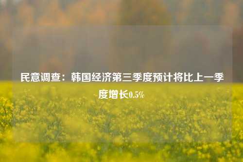 民意调查：韩国经济第三季度预计将比上一季度增长0.5%