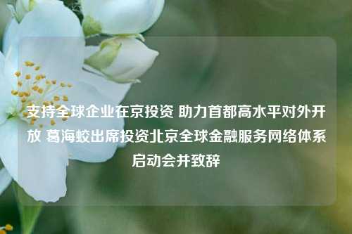 支持全球企业在京投资 助力首都高水平对外开放 葛海蛟出席投资北京全球金融服务网络体系启动会并致辞  第1张