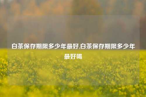 白茶保存期限多少年最好,白茶保存期限多少年最好喝  第1张