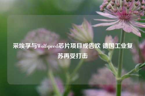 采埃孚与Wolfspeed芯片项目或告吹 德国工业复苏再受打击