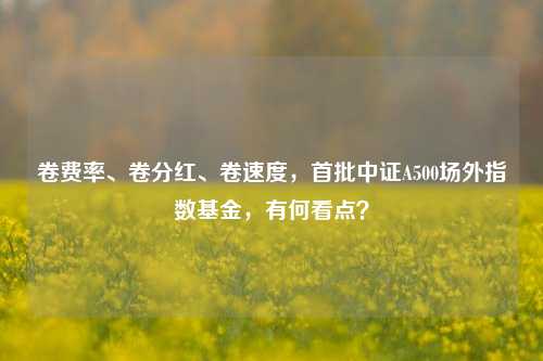 卷费率、卷分红、卷速度，首批中证A500场外指数基金，有何看点？