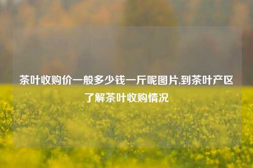 茶叶收购价一般多少钱一斤呢图片,到茶叶产区了解茶叶收购情况