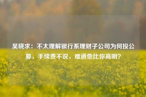 吴晓求：不太理解银行系理财子公司为何投公募，手续费不说，难道他比你高明？