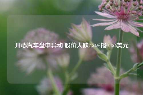 开心汽车盘中异动 股价大跌7.54%报0.156美元  第1张