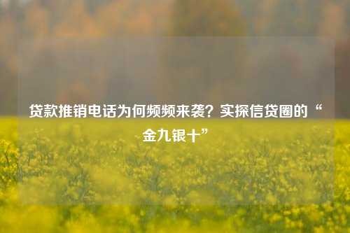 贷款推销电话为何频频来袭？实探信贷圈的“金九银十”  第1张