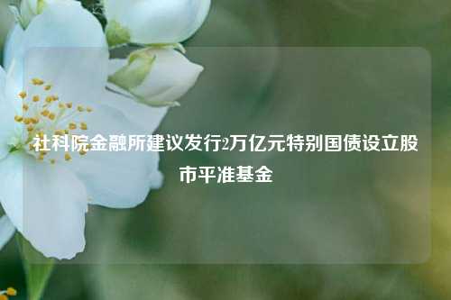 社科院金融所建议发行2万亿元特别国债设立股市平准基金  第1张