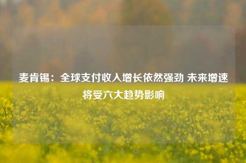 麦肯锡：全球支付收入增长依然强劲 未来增速将受六大趋势影响  第1张