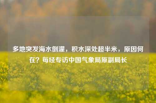 多地突发海水倒灌，积水深处超半米，原因何在？每经专访中国气象局原副局长