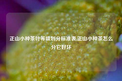 正山小种茶叶等级划分标准表,正山小种茶怎么分它好坏