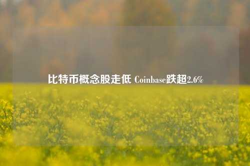 比特币概念股走低 Coinbase跌超2.6%  第1张