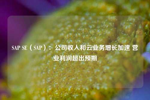 SAP SE（SAP）：公司收入和云业务增长加速 营业利润超出预期  第1张