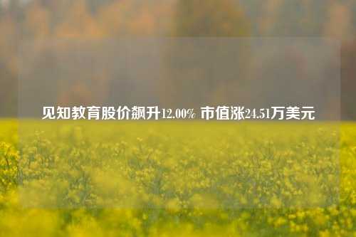 见知教育股价飙升12.00% 市值涨24.51万美元  第1张