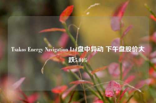 Tsakos Energy Navigation Ltd盘中异动 下午盘股价大跌5.04%  第1张