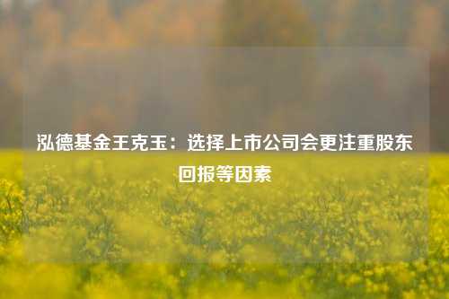 泓德基金王克玉：选择上市公司会更注重股东回报等因素