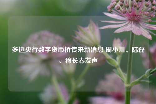 多边央行数字货币桥传来新消息 周小川、陆磊、穆长春发声  第1张