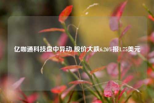 亿咖通科技盘中异动 股价大跌6.26%报1.75美元  第1张