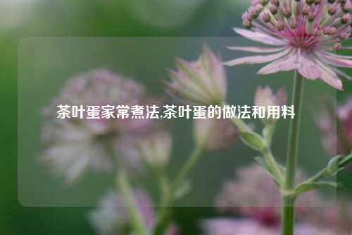 茶叶蛋家常煮法,茶叶蛋的做法和用料  第1张