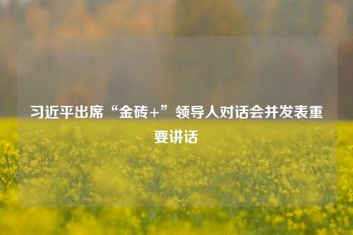 习近平出席“金砖+”领导人对话会并发表重要讲话  第1张