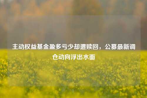 主动权益基金盈多亏少却遭赎回，公募最新调仓动向浮出水面