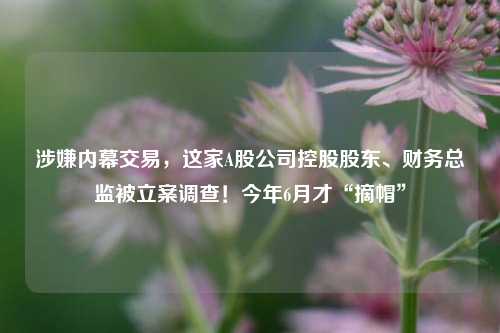 涉嫌内幕交易，这家A股公司控股股东、财务总监被立案调查！今年6月才“摘帽”