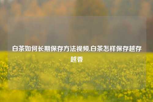 白茶如何长期保存方法视频,白茶怎样保存越存越香  第1张