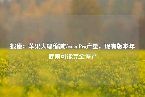 报道：苹果大幅缩减Vision Pro产量，现有版本年底前可能完全停产  第1张