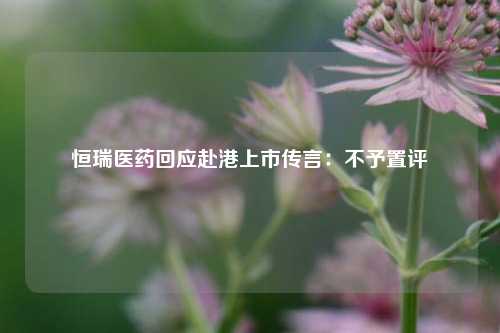 恒瑞医药回应赴港上市传言：不予置评  第1张