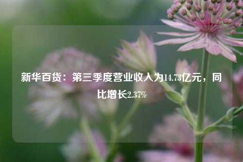 新华百货：第三季度营业收入为14.73亿元，同比增长2.37%  第1张