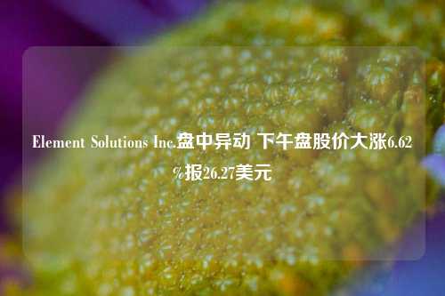 Element Solutions Inc.盘中异动 下午盘股价大涨6.62%报26.27美元  第1张