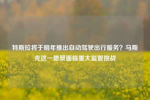 特斯拉将于明年推出自动驾驶出行服务？马斯克这一愿景面临重大监管挑战