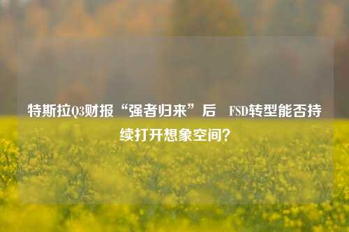 特斯拉Q3财报“强者归来”后   FSD转型能否持续打开想象空间？