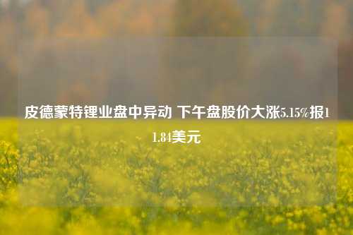 皮德蒙特锂业盘中异动 下午盘股价大涨5.15%报11.84美元  第1张