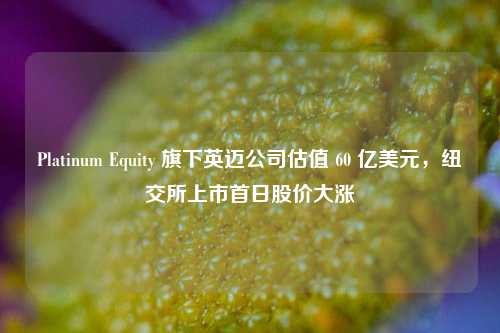 Platinum Equity 旗下英迈公司估值 60 亿美元，纽交所上市首日股价大涨