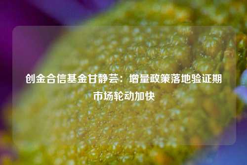 创金合信基金甘静芸：增量政策落地验证期 市场轮动加快  第1张