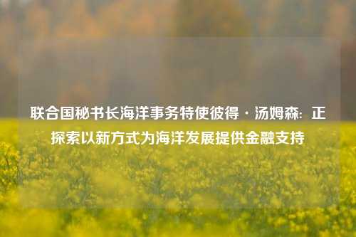 联合国秘书长海洋事务特使彼得·汤姆森:  正探索以新方式为海洋发展提供金融支持 第1张