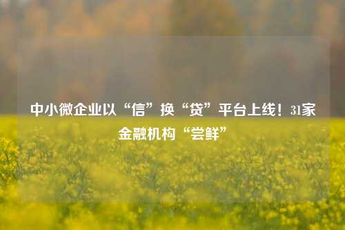 中小微企业以“信”换“贷”平台上线！31家金融机构“尝鲜”