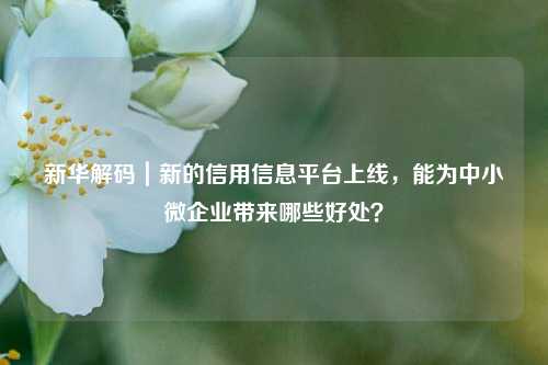 新华解码｜新的信用信息平台上线，能为中小微企业带来哪些好处？