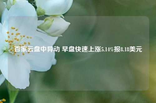 百家云盘中异动 早盘快速上涨5.14%报8.18美元  第1张