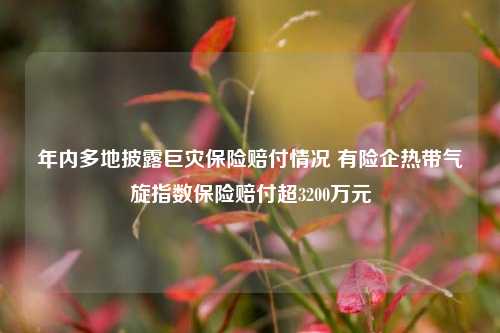 年内多地披露巨灾保险赔付情况 有险企热带气旋指数保险赔付超3200万元  第1张