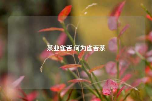 茶业雀舌,何为雀舌茶