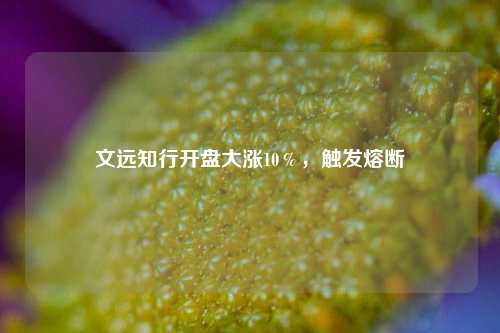 文远知行开盘大涨10％，触发熔断  第1张