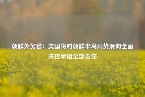 朝鲜外务省：美国将对朝鲜半岛局势滑向全面失控承担全部责任  第1张