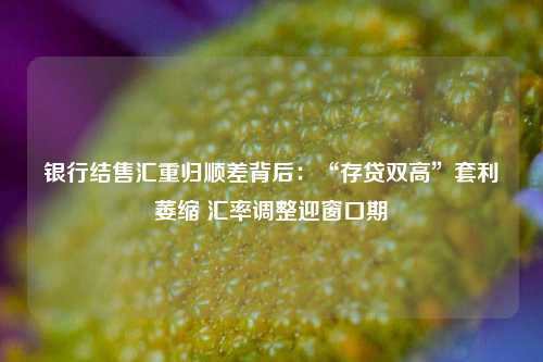 银行结售汇重归顺差背后：“存贷双高”套利萎缩 汇率调整迎窗口期  第1张