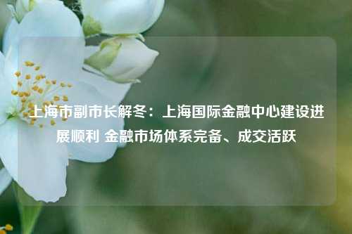 上海市副市长解冬：上海国际金融中心建设进展顺利 金融市场体系完备、成交活跃